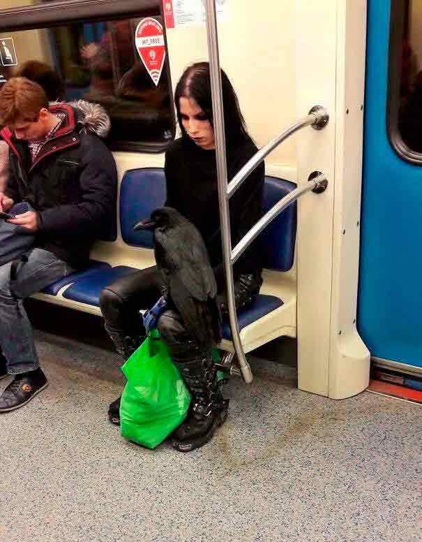20 flagrantes confirmam: vagões de metrô são o melhor lugar para (não) entender os humanos. Foto: reprodução redes sociais 