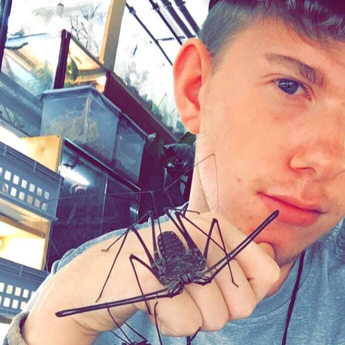 Jovem alemão bomba nas redes sociais com fotos e vídeos de seus insetos