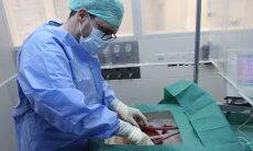 Suíços criam técnica para fígado sobreviver fora do corpo