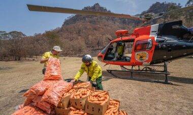 Austrália usa helicópteros para ajudar animais afetados por incêndios