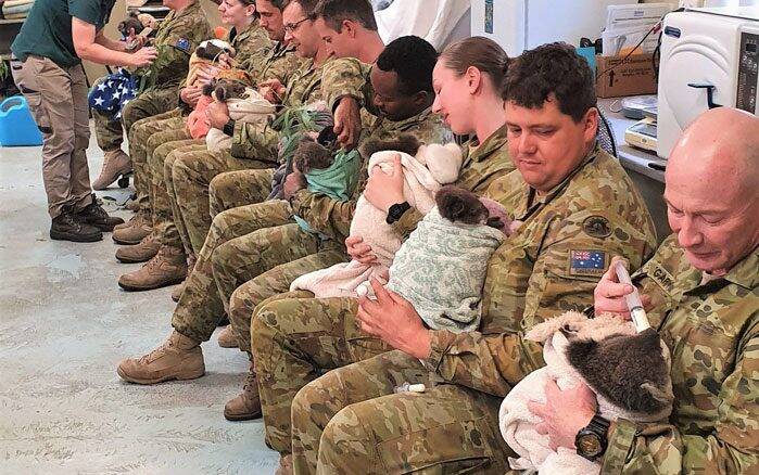 Soldados australianos aproveitam folga para cuidar de coalas
