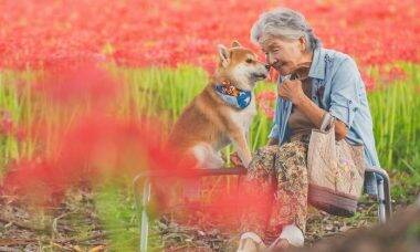 Fotógrafo registra amor da avó pelo seu cachorro