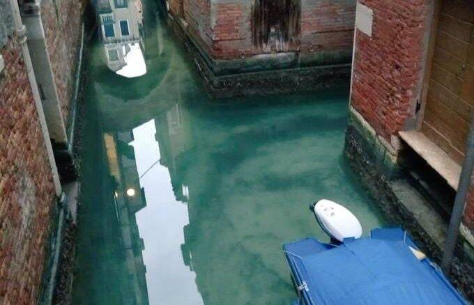 Quarentena fez canais de Veneza ficarem limpos pela primeira vez em anos