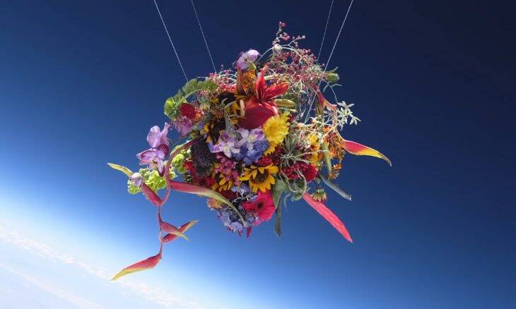 Artista manda flores para a estratosfera