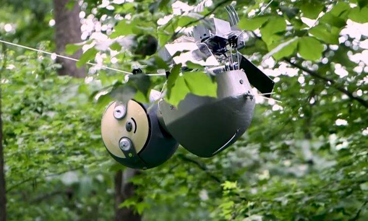 Parque nos EUA ganha bicho-preguiça robótico