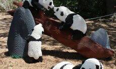 Zoológico nos EUA cria exposição com animais de Lego