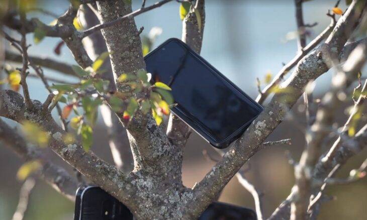 Amazon acaba com esquema de celulares pendurados em árvores