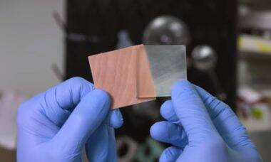 Cientistas criam madeira transparente que é mais resistente que o vidro