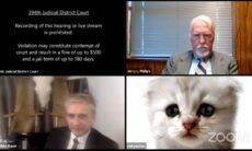Vídeo: advogado vira gato triste em audiência virtual