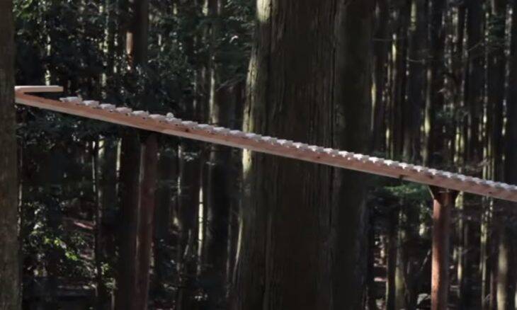 Vídeo: Confira o xilofone gigante construído em uma floresta japonesa
