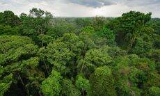 Facebook proíbe venda de terras da Amazônia no Marketplace