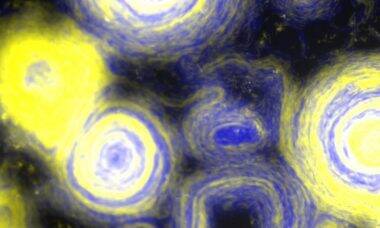 Bactéria mutante recria obra icônica de Van Gogh