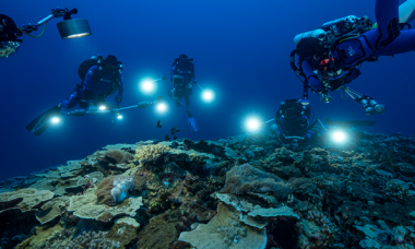 Missão da Unesco descobre raro recife de coral no Taiti
