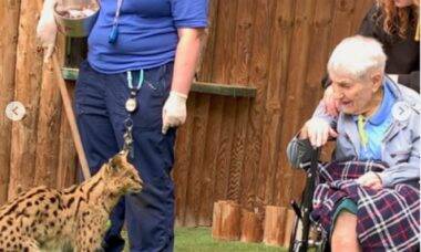 Mulher centenária realiza sonho de encontrar gato selvagem pela 1ª vez