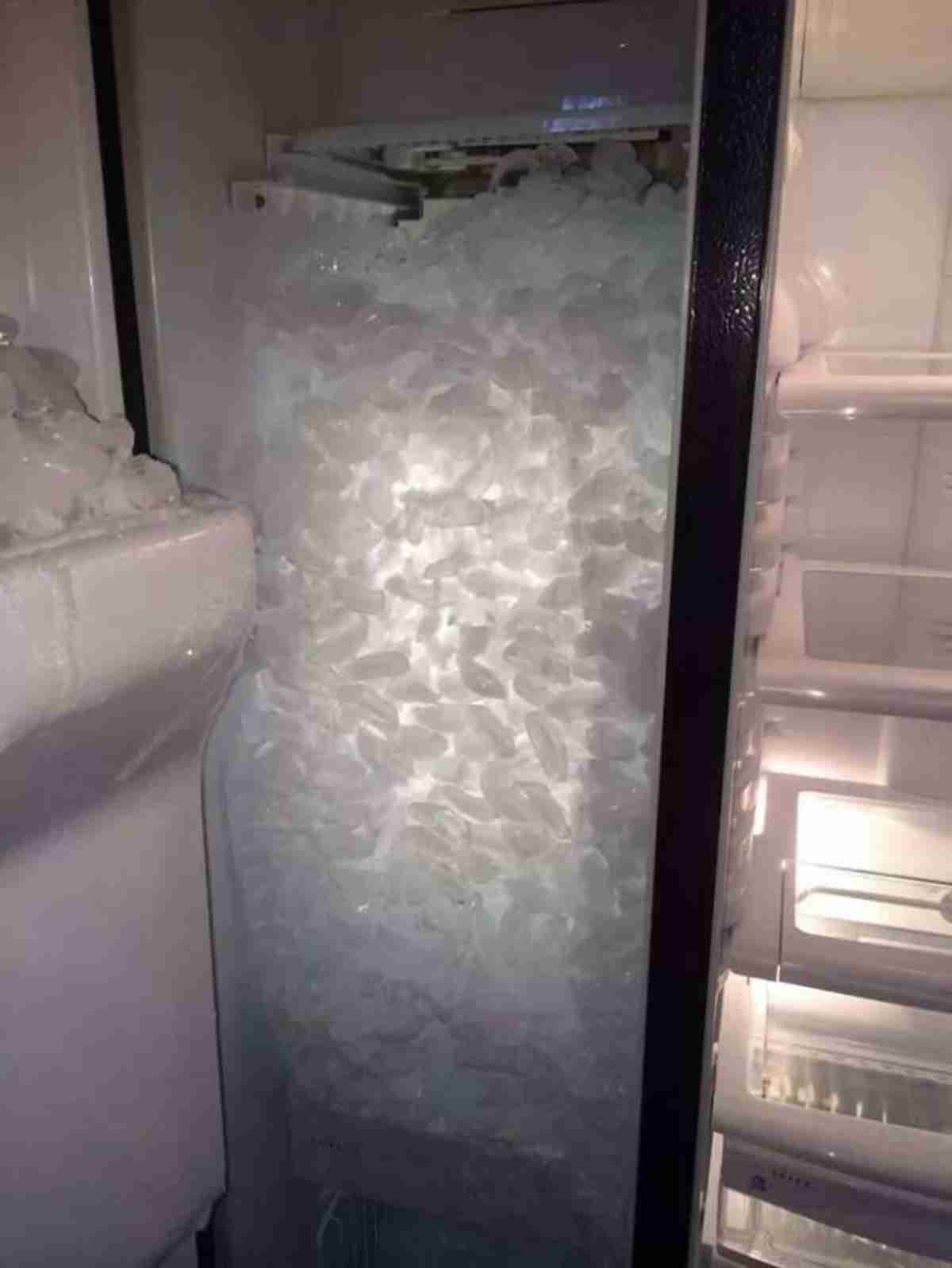 fridge10 1