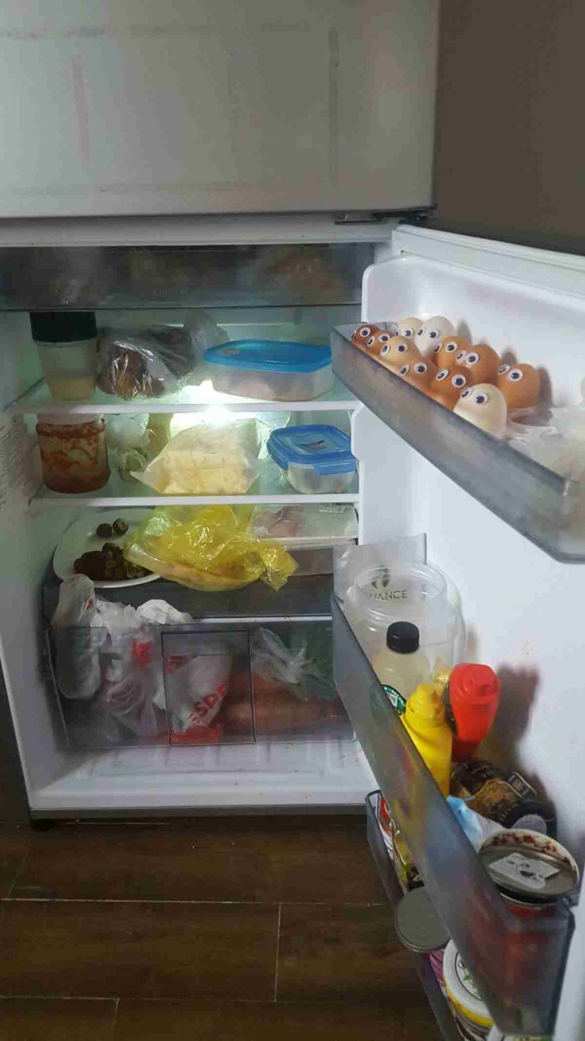 fridge13 1